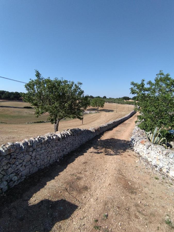 Masseria Catucci Agriturismo Alberobello Exterior photo