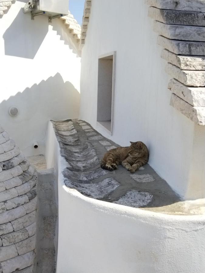 Masseria Catucci Agriturismo Alberobello Exterior photo