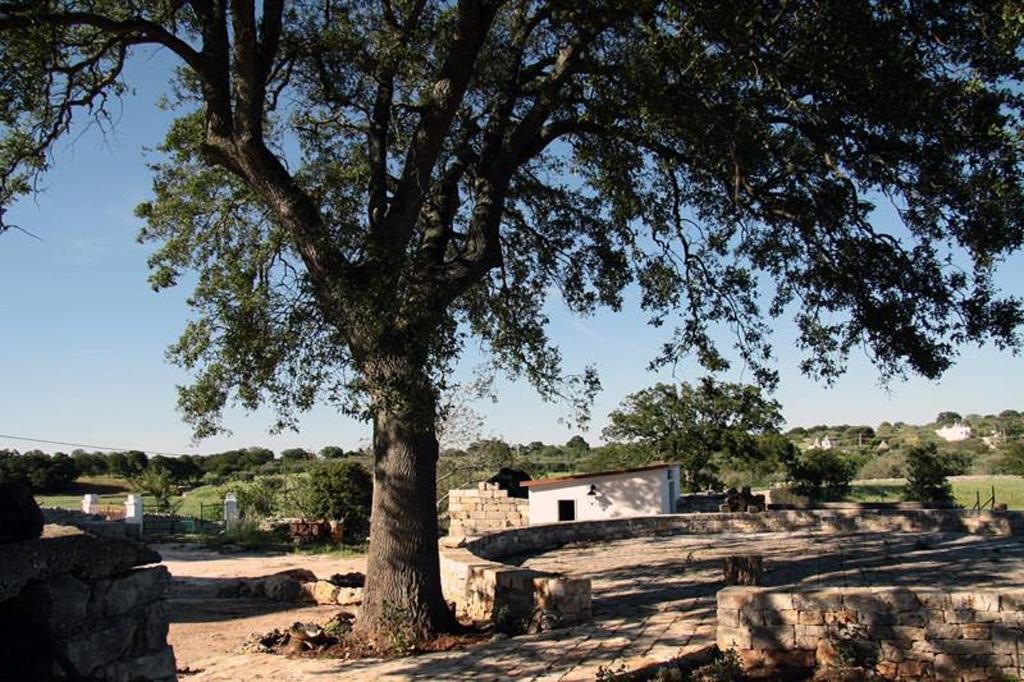 Masseria Catucci Agriturismo Alberobello Exterior photo